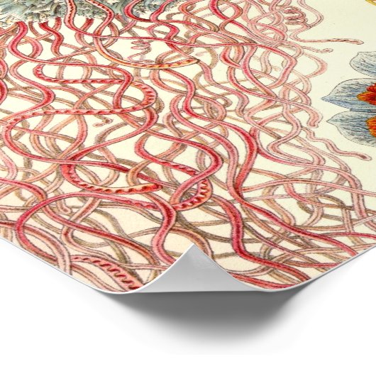 Vintage Poster (Hoek)