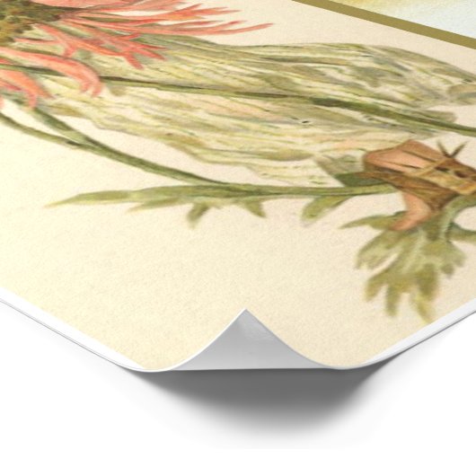 Vintage Poster (Hoek)