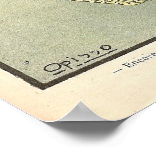 Vintage poster (Hoek)