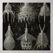 Vintage Poster (Voorkant)