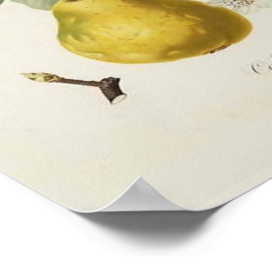 Vintage Poster (Hoek)