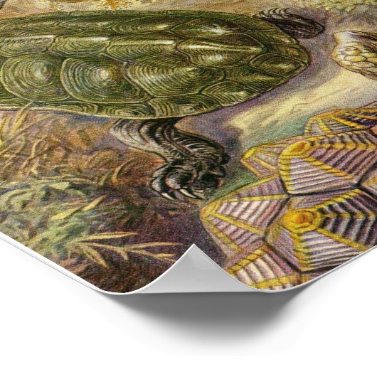 Vintage Poster (Hoek)