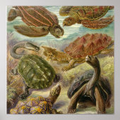 Vintage Poster (Voorkant)