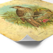 Vintage Poster (Hoek)