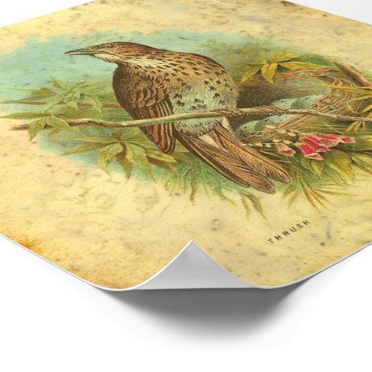 Vintage Poster (Hoek)