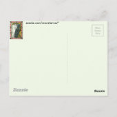 Vintage poster:Peacock:Vrouw Briefkaart (Achterkant)