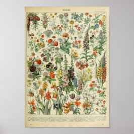 Vintage Poster  Plant bosbloembloem
