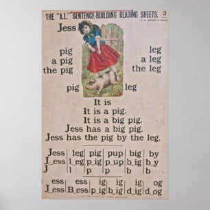 Vintage Poster Poster