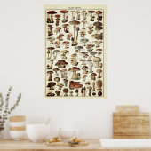 Vintage Poster Print Mushrooms Champignons Chart (Keuken)