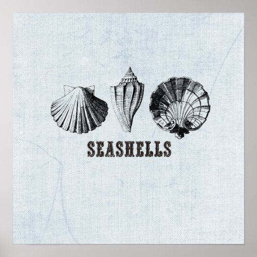 Vintage Poster ter illustratie van zeeschelpen (Voorkant)