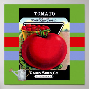 Vintage Poster tomatenzaad