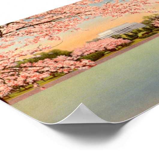 Vintage Poster, Washington DC Poster (Hoek)