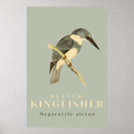 Vintage Poster Waterverf Kingfisher
