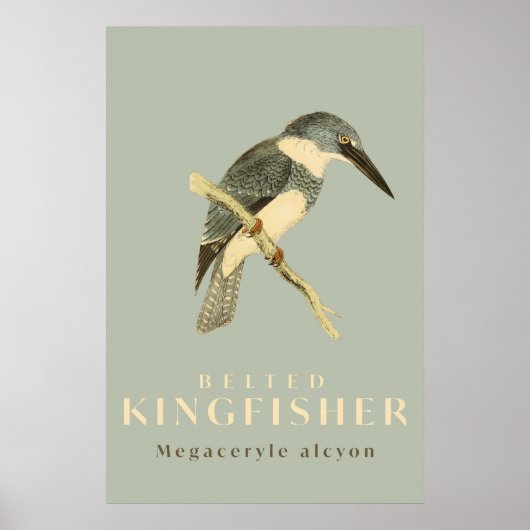 Vintage Poster Waterverf Kingfisher (Voorkant)