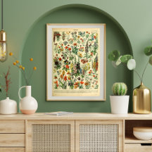 Vintage Poster Wilde bloemen boek pagina