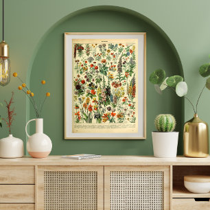 Vintage Poster Wilde bloemen boek pagina