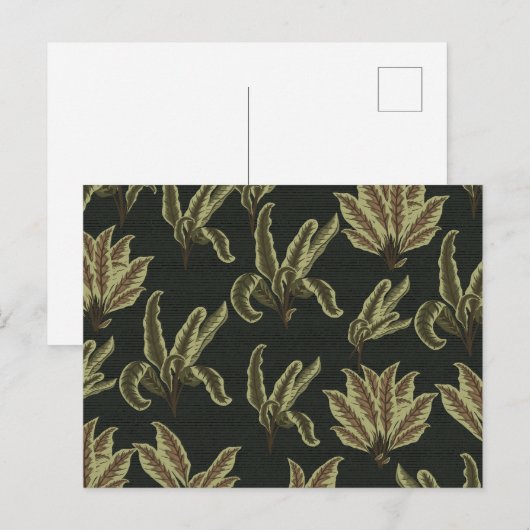 Vintage Potted Plants Briefkaart (Voorkant / Achterkant)