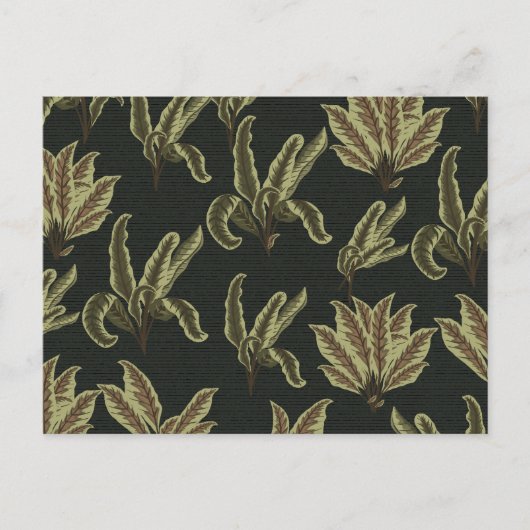 Vintage Potted Plants Briefkaart (Voorkant)