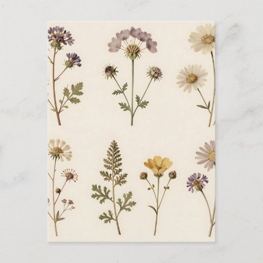 Vintage Pressed Wildflower Botanical Pattern Briefkaart (Voorkant)