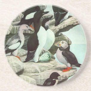 Vintage Puffins en Watervogels door Louis Fuertes Zandsteen Onderzetter
