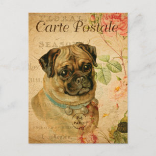 Vintage Pug Dog Floral French Carte Postale Briefkaart