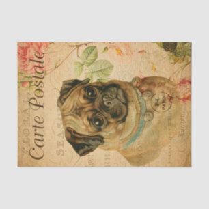 Vintage Pug Dog Floral French Carte Postale Tissuepapier