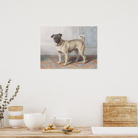 Vintage Pug Poster (Keuken)