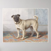 Vintage Pug Poster (Voorkant)