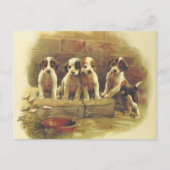 Vintage Puppies Briefkaart (Voorkant)