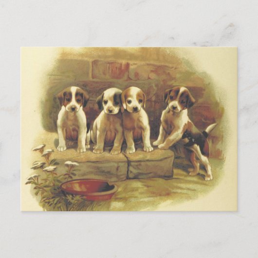 Vintage Puppies Briefkaart (Voorkant)