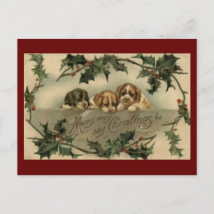Vintage Puppy Trio Christmas Postcard Feestdagenkaart