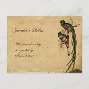 Vintage Quetzal Bird Elegant RSVP Briefkaart
