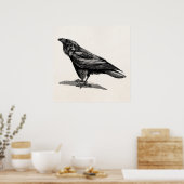 Vintage Raven Crow Blackbird Bird Illustration Poster (Keuken)