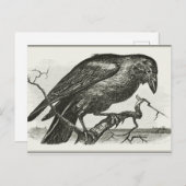 Vintage Raven Woodcut Briefkaart (Voorkant / Achterkant)