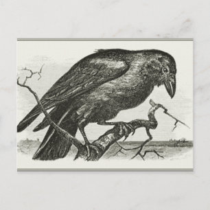 Vintage Raven Woodcut Briefkaart