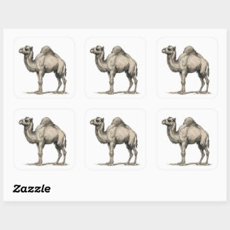 Vintage Realistic Camel Illustration-Desert Camel Vierkante Sticker