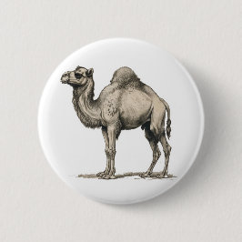 Vintage realistische kameelillustratie-woestijnkam ronde button 5,7 cm