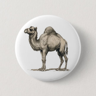 Vintage realistische kameelillustratie-woestijnkam ronde button 5,7 cm
