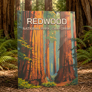 Vintage Redwood National Park Californië Retro Briefkaart