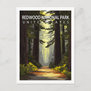 Vintage Redwood National Park Wandelbos Briefkaart