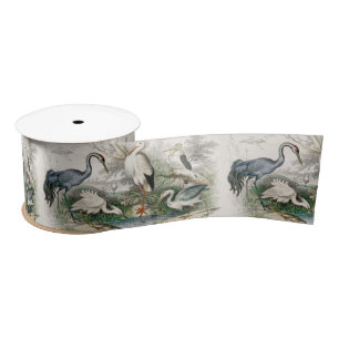 Vintage Reiger Ooievaar en Kraanvogel Natuur Kunst Satijnen Lint