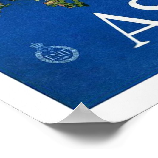 Vintage-reis, Assisi Poster (Hoek)