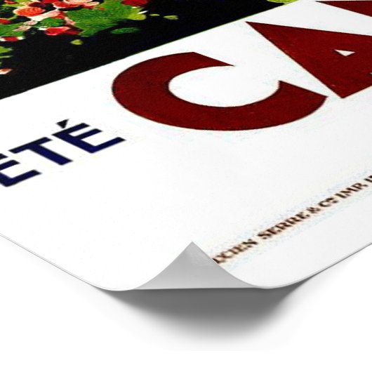 Vintage-reis, kanen poster (Hoek)