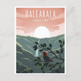 vintage reisretro Haleakala Hawaï nationaal park Briefkaart