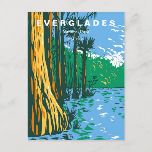 Vintage reizen Everglades National Park Florida Briefkaart
