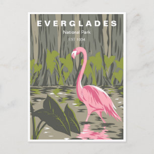 Vintage reizen Everglades National Park Florida Briefkaart