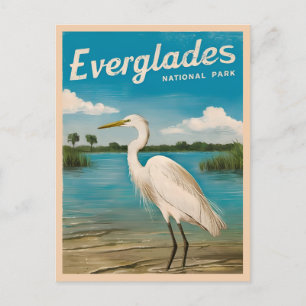 Vintage Reizen Florida Everglades Natuur Wildlife Briefkaart