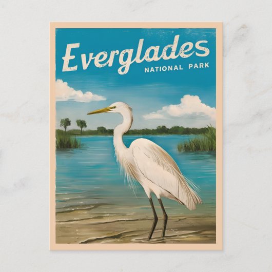 Vintage Reizen Florida Everglades Natuur Wildlife Briefkaart (Voorkant)
