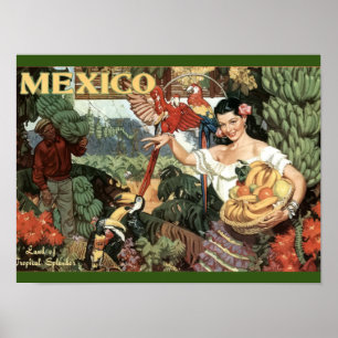 Vintage - Reizen - Poster - Mexico - Tropisch