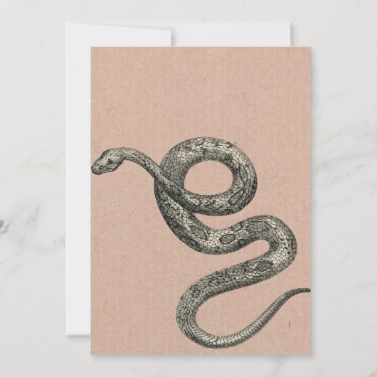 Vintage reptiel dieren verjaardagsuitnodiging
kaart (Achterkant)